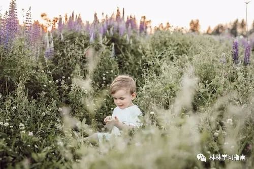 青少年逆反心理大致有几种类型_青少年逆反心理咋教育_青少年逆反心理案例