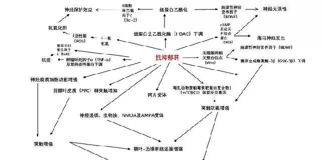 抗焦虑抑郁药物有哪些药_抗焦虑抑郁药物多久见效_抗焦虑抗抑郁首选药物